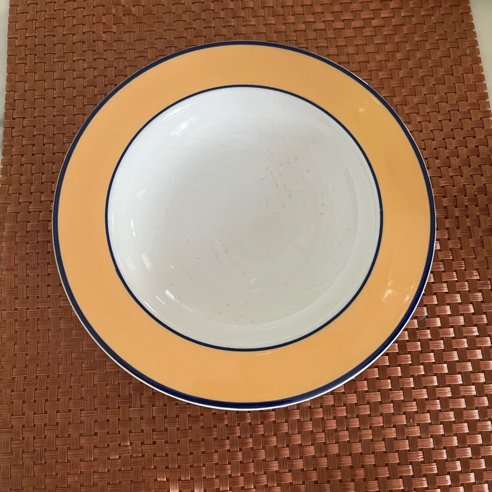 Pagnossin Ironstone soup bowl 9 inchSet of (4) Firm Price